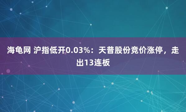 海龟网 沪指低开0.03%：天普股份竞价涨停，走出13连板