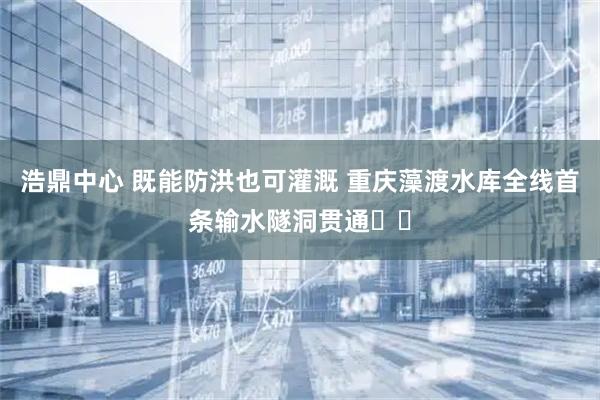 浩鼎中心 既能防洪也可灌溉 重庆藻渡水库全线首条输水隧洞贯通‌‌