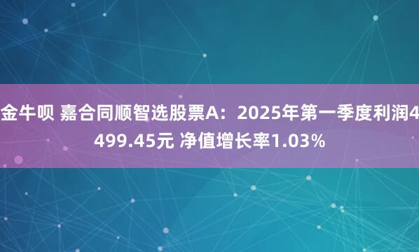 金牛呗 嘉合同顺智选股票A：2025年第一季度利润4499.45元 净值增长率1.03%