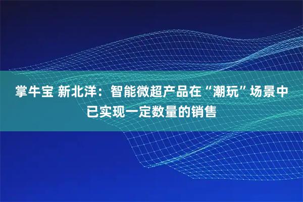 掌牛宝 新北洋：智能微超产品在“潮玩”场景中已实现一定数量的销售