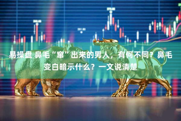 易操盘 鼻毛“窜”出来的男人,有何不同?鼻毛变白暗示什么?一文说清楚