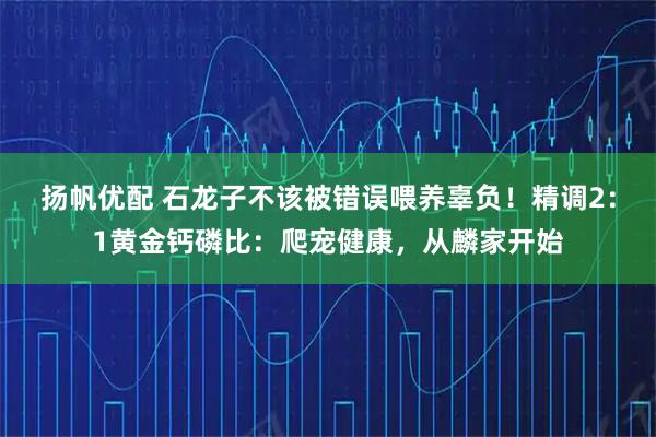 扬帆优配 石龙子不该被错误喂养辜负!精调2:1黄金钙磷比:爬宠健康,从麟家开始